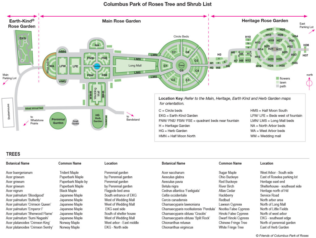 Tree-&-Shrub-List2015