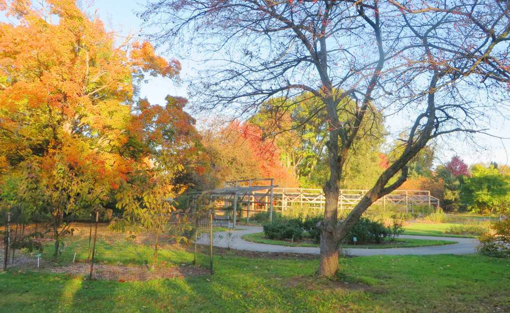 TreeWalk1